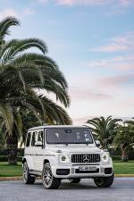 Mercedes-AMG G63 2018 года (WW)